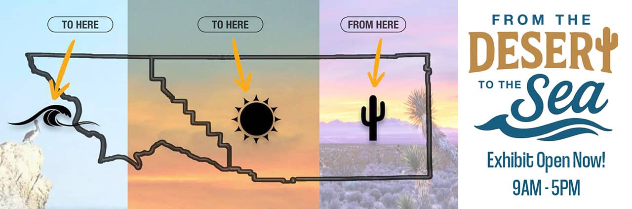 BANNER_Template DesertSea 01A